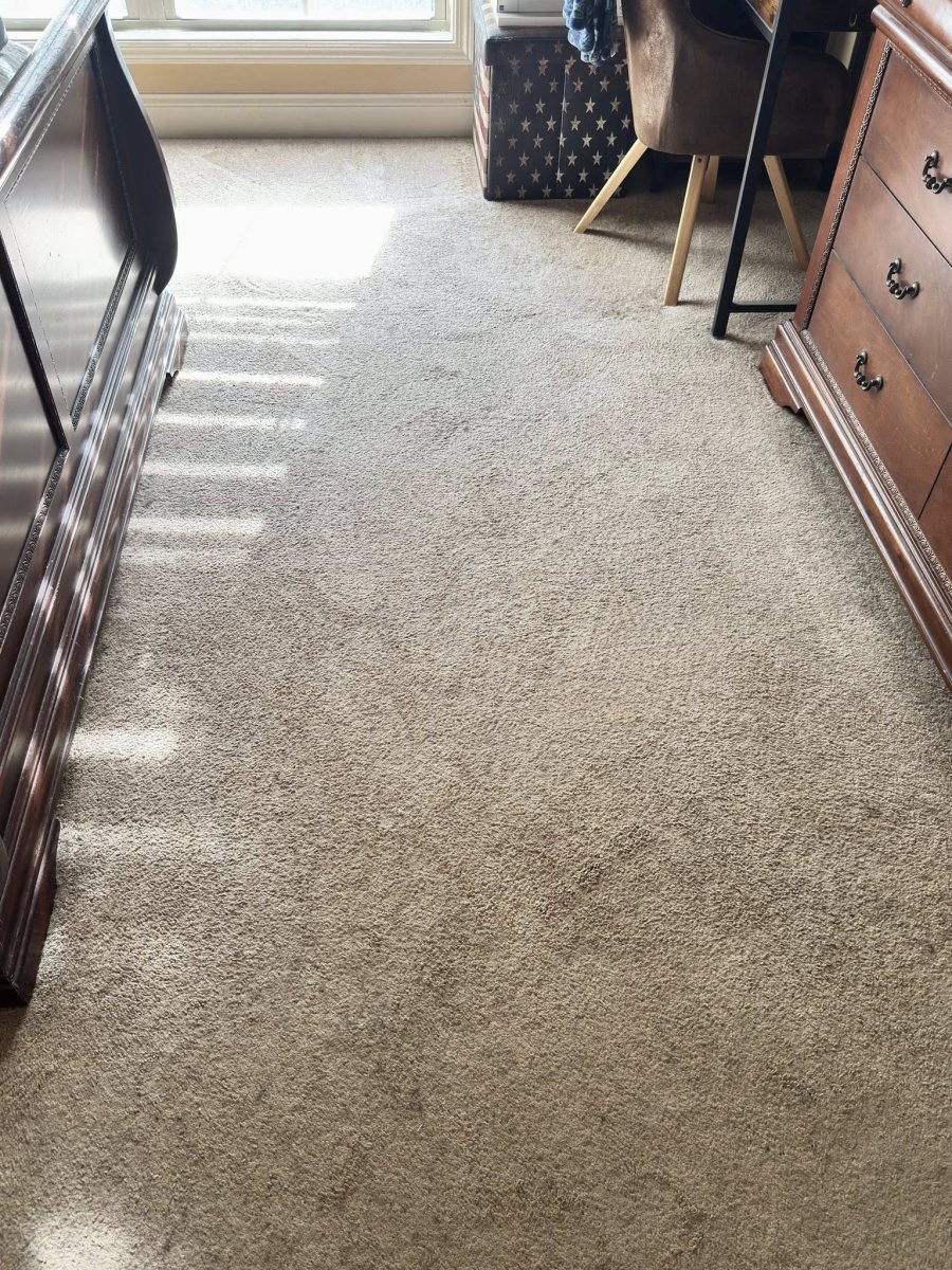 Carpet after Tidy Sparkles cleaning