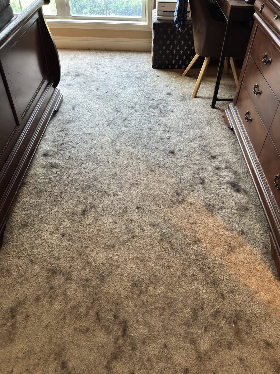 Carpet before Tidy Sparkles cleaning