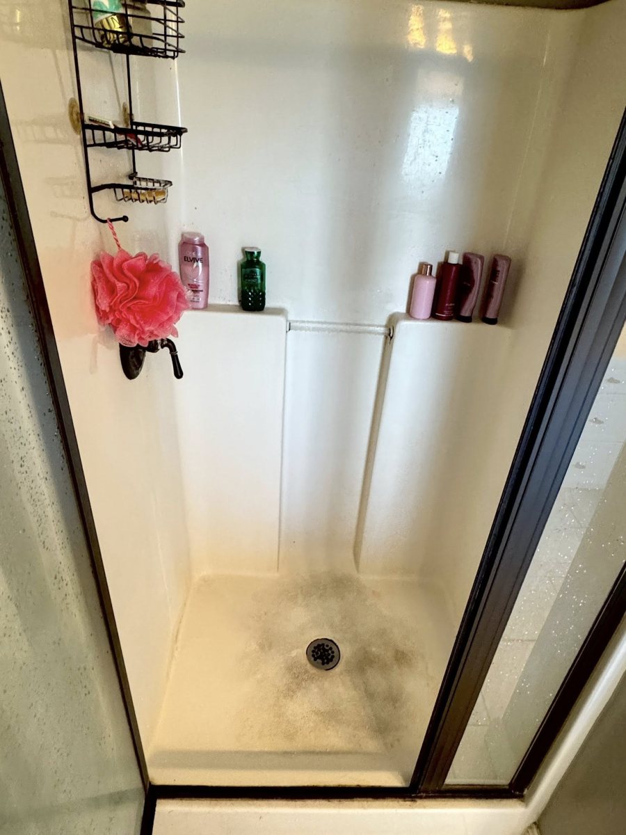 Shower before Tidy Sparkles cleaning