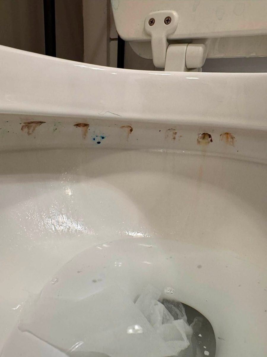 Toilet bowl before Tidy Sparkles cleaning