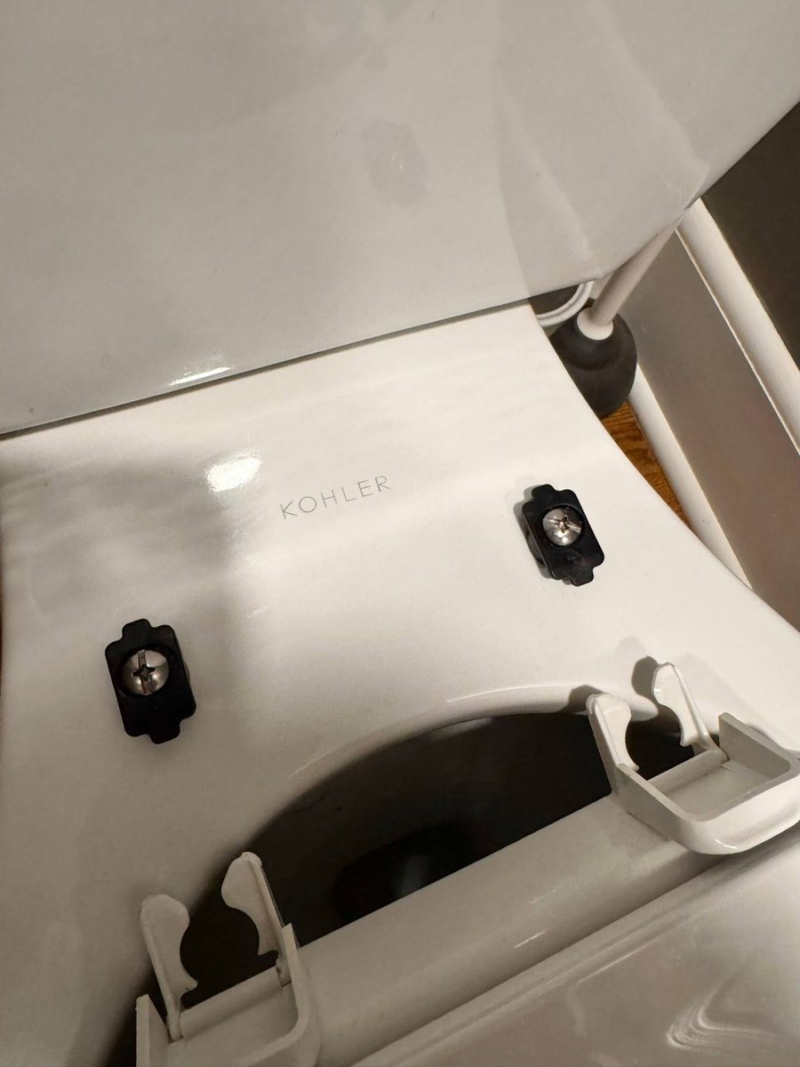 Toilet seat hinges after Tidy Sparkles cleaning
