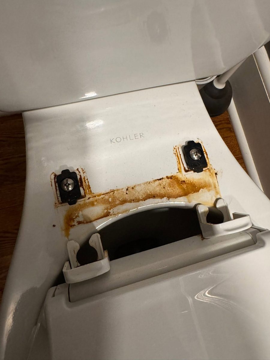 Toilet seat hinges before Tidy Sparkles cleaning